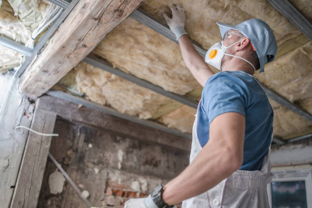 Best Blown-in Insulation in Mount Vista, WA