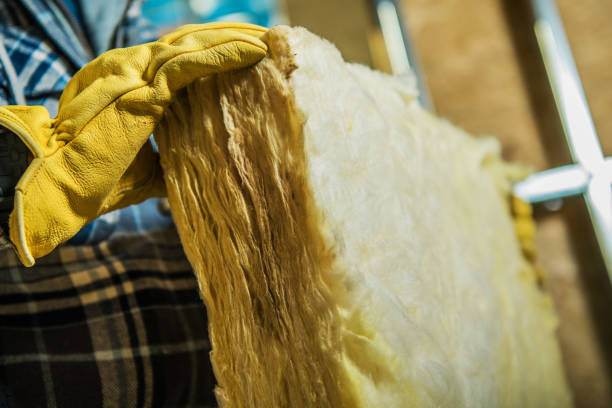 Types of Insulation We Offer in Mount Vista, WA