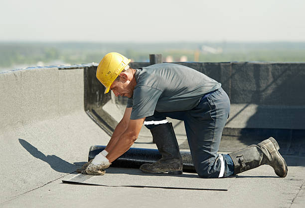 Best Geographic-Specific Insulation Services in Mount Vista, WA
